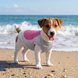 Летняя охлаждающая одежда для собак Derby Summer Dog Cooling Clothes, Grey-Pink, S, 40-43 см, 50-58 см, 40 см