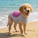 Летняя охлаждающая одежда для собак Derby Summer Dog Cooling Clothes, Grey-Pink, S, 40-43 см, 50-58 см, 40 см
