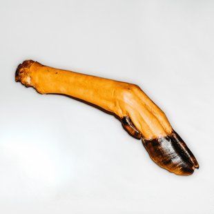 Нога оленя, 1 шт.