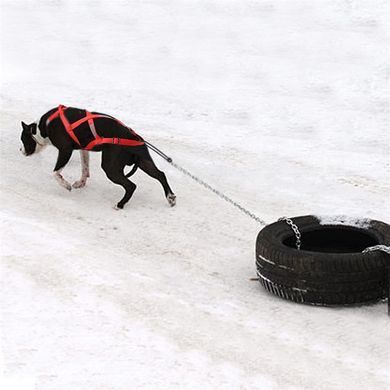 Тягова шлейка для собак V.PET.B.R H6 V.PET.B.R