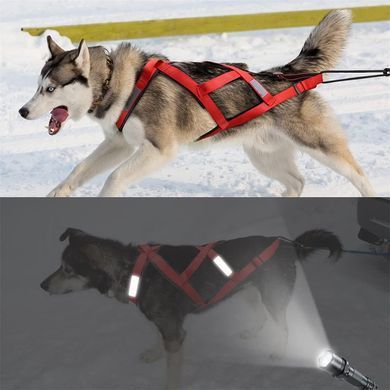 Тягова шлейка для собак V.PET.B.R H6 V.PET.B.R