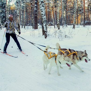 Тягова шлейка для собак V.PET.B.R H6 V.PET.B.R