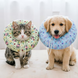 Мягкий воротник для кошек и небольших собак Hongrong Pet Recovery Collar - Blue Whale, M, до 17 см