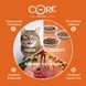 Набор консерв для котов Wellness CORE Tender Cuts Turkey Selection Multipack с индейкой, 6х85 г