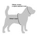 Шлея для Мелких Пород Собак Нейлон Неопрен 3D Сетка Коричневая