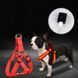 Светодиодная шлейка для собак, заряжаемая от USB, Голубой, S