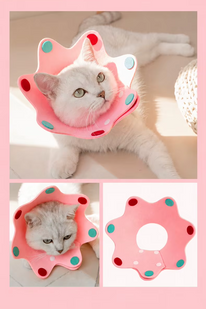 Мягкий воротник для кошек и небольших собак Derby Pink Dotted Elizabeth Collar Derby