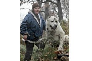 Спасенная собакой 7-летняя киевлянка: «теперь всем говорю: это не просто овчарка, а мой ангел-хранитель».