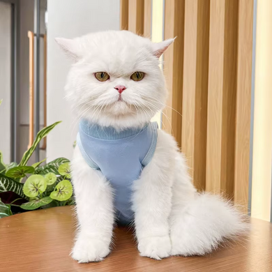 Одяг для котів після операції Holley Blue Holley