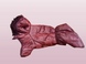Комбінезон Smart Pet Merlot, S, 26-29 см, 40-45 см