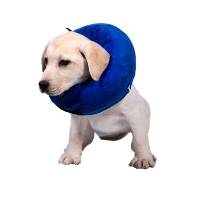 Захисний надувний нашийник для собак Derby Protective Inflatable Dog Cone Collar Blue Derby