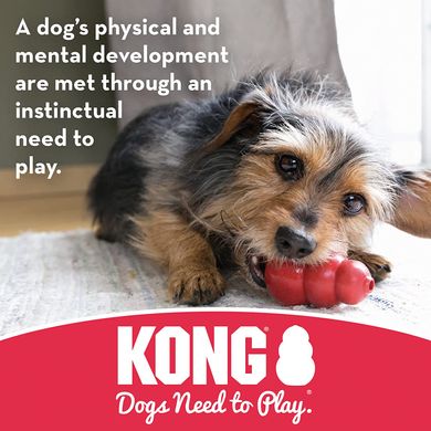 Прочная резиновая игрушка для собак KONG Dental Stick KONG