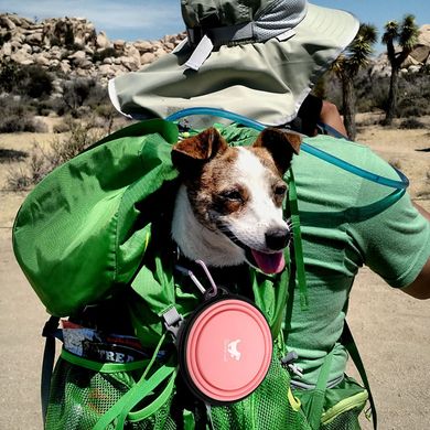 Складная силиконовая миска для собак Rest-Eazzzy Collapsible Bowls for Travel