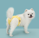 Багаторазовий підгузок для сук Derby SunnyPaw, Yellow, XS, 18-22 см