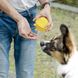 Сумка для ласощів для собак YanHao DogStory, Жовтий