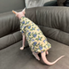 Мягкая футболка для котов Lovely Spring Sweet, 2XL, 40 см, 26 см