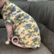 Мягкая футболка для котов Lovely Spring Sweet, 2XL, 40 см, 26 см