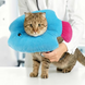 Мягкий воротник для кошек и небольших собак Polelong Soft Fish-shaped Pet Collar, Blue, S, 15-19 см
