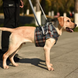Шлей для поддержки передних лап собаки Derby Dog Lift Harness for Chest / Front Leg  RD2605-1, Medium