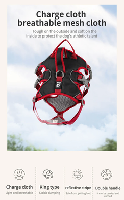Шлея для собак Derby Pet harness FH107 Derby