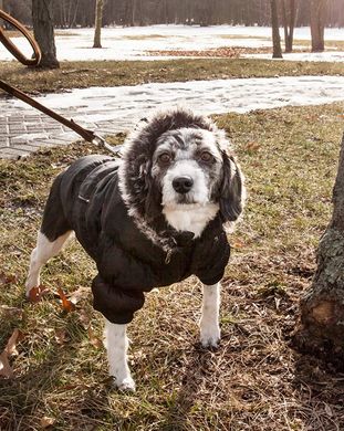 Куртка-парка Metallic Fashion Pet для собак