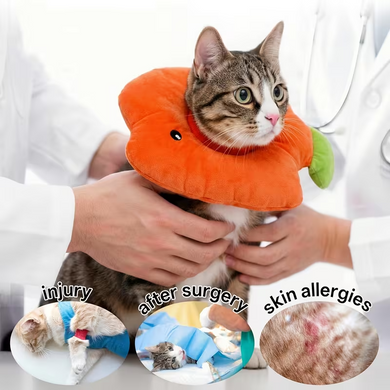 М'який комір для котів і невеликих собак Polelong Soft Fish-shaped Pet Collar, Orange