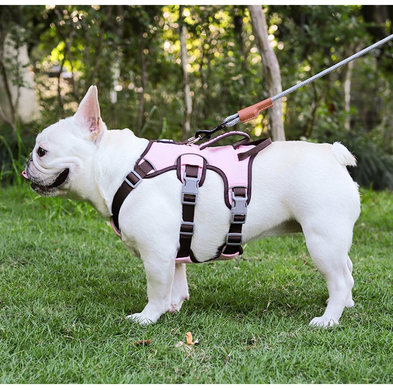 Шлея для собак Derby Pet harness FH107 Derby