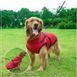 Светоотражающая зимняя куртка для собак Red, S, 22 см, 36 см, 26,5 см
