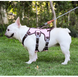 Шлея для собак Derby Pet harness FH107, Рожевий, Large