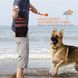 Сумка для выгула и дрессировок собак EDUPLINK Dark golden с миской и кликером