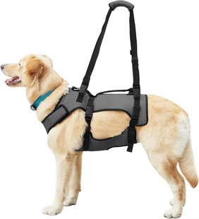 Реабилитационный жилет для полной поддержки тела собак WanTalk Dog Lift Harness Grey Wan talk