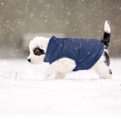 Зимний жилет на овчине для собак