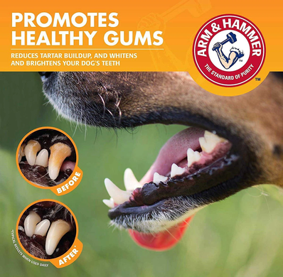 Энзимная зубная паста для собак Arm & Hammer Clinical Gum Health со вкусом курицы Arm&Hammer