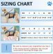 Реабилитационный жилет для полной поддержки тела собак WanTalk Dog Lift Harness Grey, Large