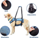 Реабилитационный жилет для полной поддержки тела собак WanTalk Dog Lift Harness Grey, Large