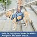 Реабилитационный жилет для полной поддержки тела собак WanTalk Dog Lift Harness Grey, Large