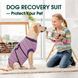 Восстановительная попона для собак Wan Talk Recovery Suit, Violet Stripe, 5XL, 65 см, 88-95 см, 60 см
