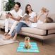 Охолоджуючий килимок для собак та кішок GEL Material Summer Pet Cooling Mat, Corgi Blue, 60х90 см