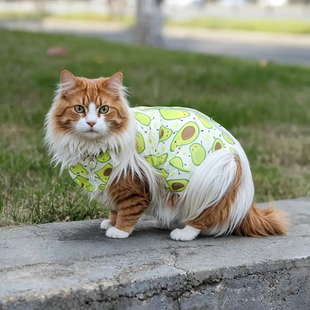 Післяопераційна попона для котів Hubble Pet Avocado