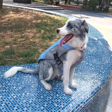 Летний охлаждающий жилет для собак крупных пород Derby Summer Dog Cooling Vest PA0116, Blue Derby