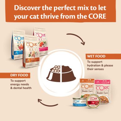 Набір консерв для котів Wellness CORE Signature Selects Chunky Selection Multipack Wellness CORE
