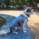 Летний охлаждающий жилет для собак крупных пород Derby Summer Dog Cooling Vest PA0116, Blue, 2XL, 69 см, 83-100 см, 65 см