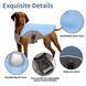 Летний охлаждающий жилет для собак крупных пород Derby Summer Dog Cooling Vest PA0116, Blue, 2XL, 69 см, 83-100 см, 65 см