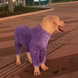 М'який флісовий комбінезон для собак великих порід PUDUODUO Purple, 4XL, 63 см, 86 см, 41 см