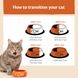 Набор консерв для котов Wellness CORE Signature Selects Chunky Selection Multipack, 8х79 г