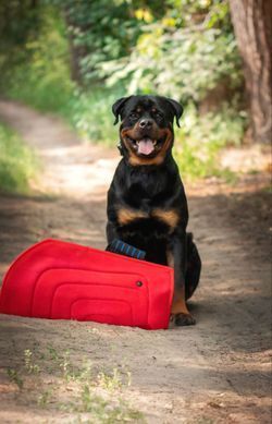 Рукав для дрессировки собак Derby Dog Training Bite Color Sleeve, red Derby