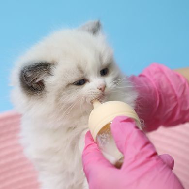 Бутылочка для кормления котят и щенков Derby Nursing Bottle, 30мл Derby