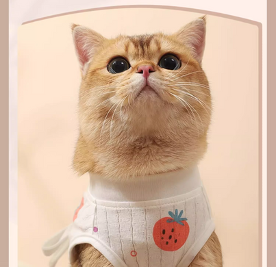 Одежда для кошек после операции Hoopet Pure Cotton Strawberry Hoopet