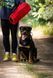 Рукав для дрессировки собак Derby Dog Training Bite Color Sleeve, red