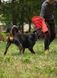 Рукав для дрессировки собак Derby Dog Training Bite Color Sleeve, red